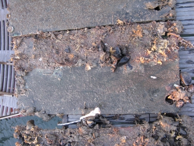 [Immagine: 2012312193719_Pannello di controllo 1.JPG]